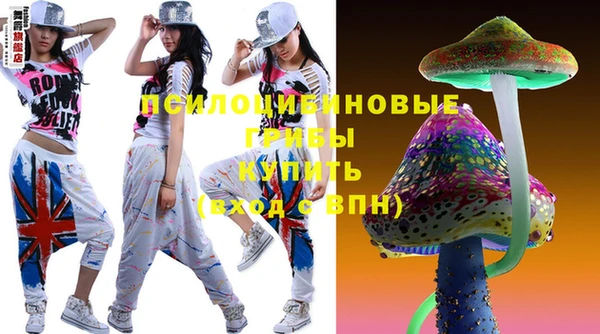 шишки Протвино
