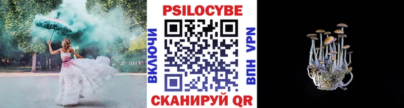 Галлюциногенные грибы мицелий  Берёзовский 